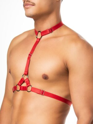 RCHAR - Choker Harness